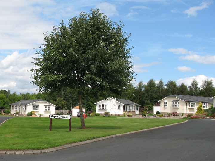 View of Maple Crescent from the road